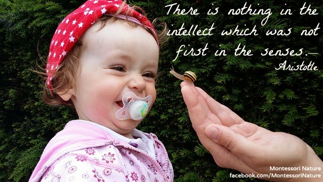 cognitive development during early childhood