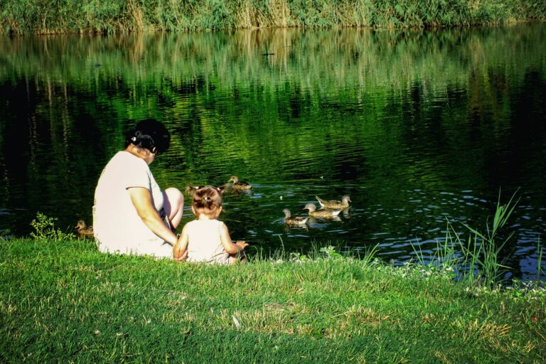 Montessori-Inspired Summer Themes
